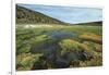 Parque Nacional de Sajama, Bolivia.-Anthony Asael-Framed Photographic Print