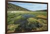 Parque Nacional de Sajama, Bolivia.-Anthony Asael-Framed Photographic Print