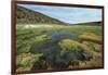 Parque Nacional de Sajama, Bolivia.-Anthony Asael-Framed Photographic Print