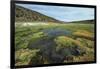 Parque Nacional de Sajama, Bolivia.-Anthony Asael-Framed Photographic Print