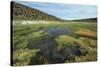 Parque Nacional de Sajama, Bolivia.-Anthony Asael-Stretched Canvas