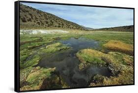 Parque Nacional de Sajama, Bolivia.-Anthony Asael-Framed Stretched Canvas
