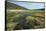 Parque Nacional de Sajama, Bolivia.-Anthony Asael-Framed Stretched Canvas