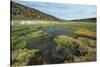 Parque Nacional de Sajama, Bolivia.-Anthony Asael-Stretched Canvas