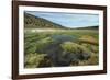 Parque Nacional de Sajama, Bolivia.-Anthony Asael-Framed Photographic Print