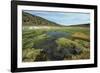 Parque Nacional de Sajama, Bolivia.-Anthony Asael-Framed Photographic Print