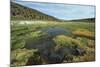 Parque Nacional de Sajama, Bolivia.-Anthony Asael-Mounted Photographic Print