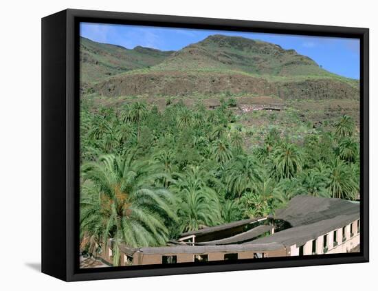 Parque Palmitos Park, Gran Canaria, Canary Islands-Peter Thompson-Framed Stretched Canvas