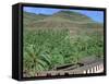 Parque Palmitos Park, Gran Canaria, Canary Islands-Peter Thompson-Framed Stretched Canvas