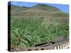 Parque Palmitos Park, Gran Canaria, Canary Islands-Peter Thompson-Stretched Canvas