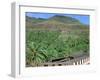 Parque Palmitos Park, Gran Canaria, Canary Islands-Peter Thompson-Framed Photographic Print