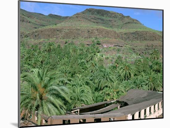 Parque Palmitos Park, Gran Canaria, Canary Islands-Peter Thompson-Mounted Photographic Print