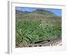 Parque Palmitos Park, Gran Canaria, Canary Islands-Peter Thompson-Framed Photographic Print