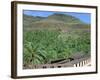 Parque Palmitos Park, Gran Canaria, Canary Islands-Peter Thompson-Framed Photographic Print