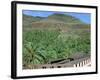 Parque Palmitos Park, Gran Canaria, Canary Islands-Peter Thompson-Framed Photographic Print