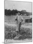 Parqueuse d'Huitres, Oyster Gatherer, of Cap Ferret Near Arcachon in South- West France-null-Mounted Photographic Print