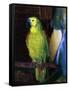 Parrot, 1915-George Wesley Bellows-Framed Stretched Canvas