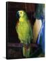 Parrot, 1915-George Wesley Bellows-Stretched Canvas