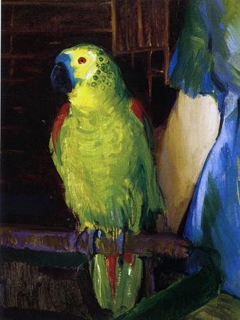 https://imgc.allpostersimages.com/img/posters/parrot-1915_u-L-Q1NIGKF0.jpg?artPerspective=n