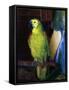 Parrot, 1915-George Wesley Bellows-Framed Stretched Canvas