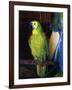 Parrot, 1915-George Wesley Bellows-Framed Giclee Print