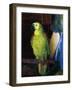 Parrot, 1915-George Wesley Bellows-Framed Giclee Print