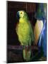 Parrot, 1915-George Wesley Bellows-Mounted Giclee Print