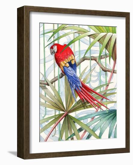 Parrot, 2008-Jenny Barnard-Framed Giclee Print