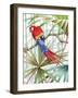 Parrot, 2008-Jenny Barnard-Framed Giclee Print