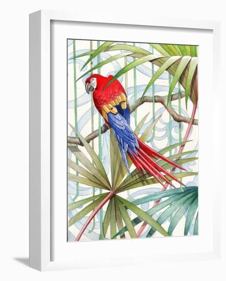 Parrot, 2008-Jenny Barnard-Framed Giclee Print