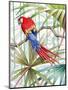 Parrot, 2008-Jenny Barnard-Mounted Giclee Print