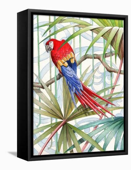 Parrot, 2008-Jenny Barnard-Framed Stretched Canvas