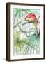 Parrot, 2008-Jenny Barnard-Framed Giclee Print