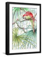 Parrot, 2008-Jenny Barnard-Framed Giclee Print