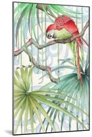 Parrot, 2008-Jenny Barnard-Mounted Giclee Print
