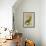 Parrot and Palm II-Vision Studio-Framed Art Print displayed on a wall