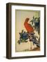 Parrot and Zuiko-Bush-Sugakudo-Framed Art Print