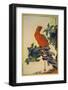 Parrot and Zuiko-Bush-Sugakudo-Framed Art Print