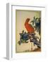 Parrot and Zuiko-Bush-Sugakudo-Framed Art Print