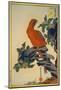 Parrot and Zuiko-Bush-Sugakudo-Mounted Art Print