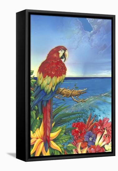 Parrot Dice-Scott Westmoreland-Framed Stretched Canvas