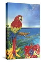 Parrot Dice-Scott Westmoreland-Stretched Canvas