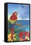 Parrot Dice-Scott Westmoreland-Framed Stretched Canvas