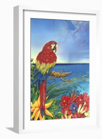 Parrot Dice-Scott Westmoreland-Framed Art Print