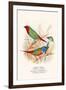 Parrot Finch-F.w. Frohawk-Framed Art Print