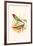 Parrot Finch-F.w. Frohawk-Framed Art Print