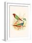 Parrot Finch-F.w. Frohawk-Framed Art Print