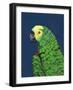 Parrot Head Navy-Pamela Munger-Framed Art Print