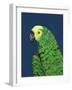 Parrot Head Navy-Pamela Munger-Framed Art Print