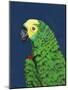 Parrot Head Navy-Pamela Munger-Mounted Art Print